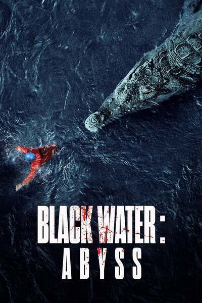 Black Water: Abyss Hindi Dubbed Movie Poster (2020)