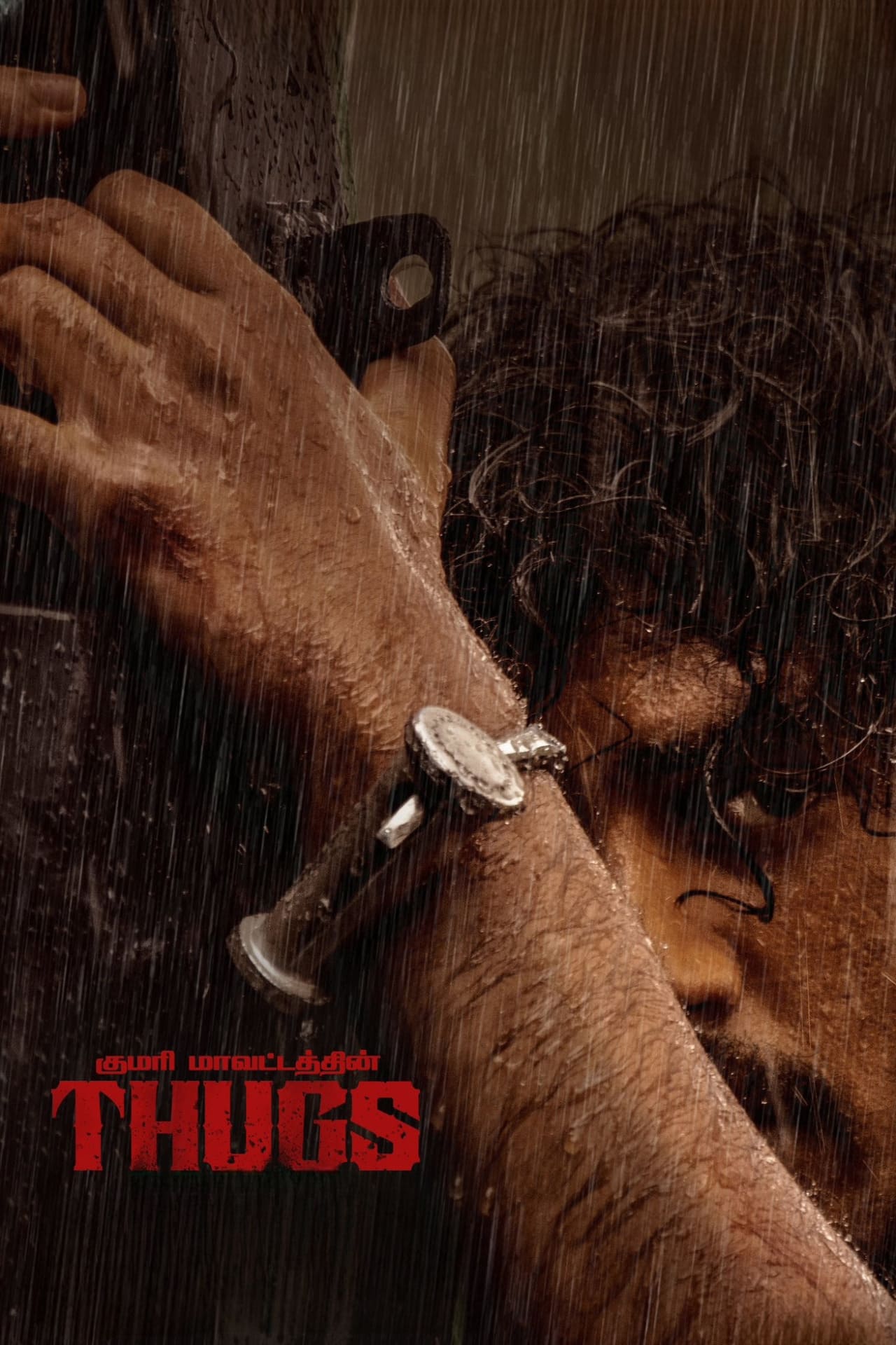 Thugs Hindi Dubbed Movie Poster (2023)