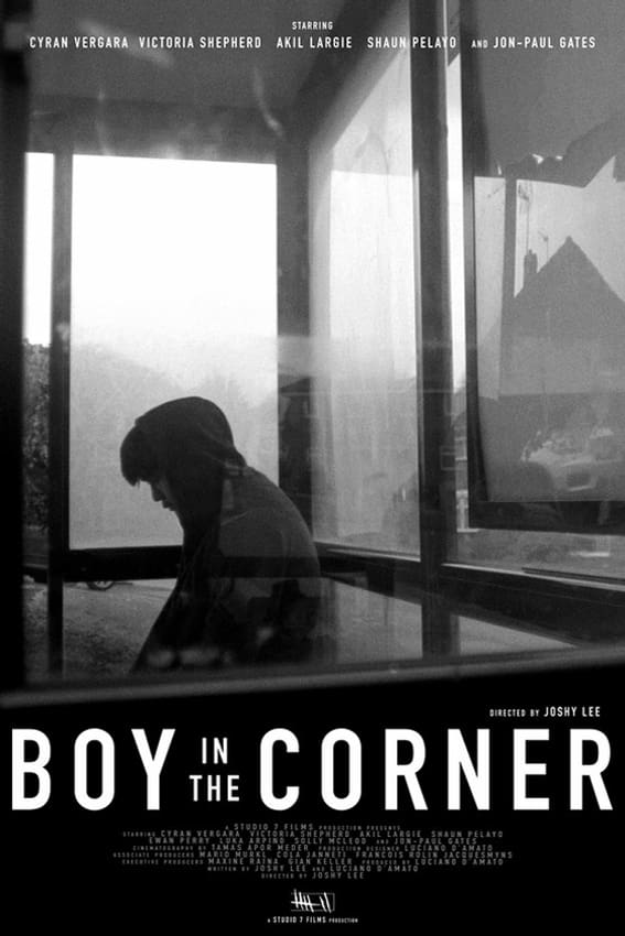 Boy in the Corner Hindi Dubbed Movie Poster (2022)