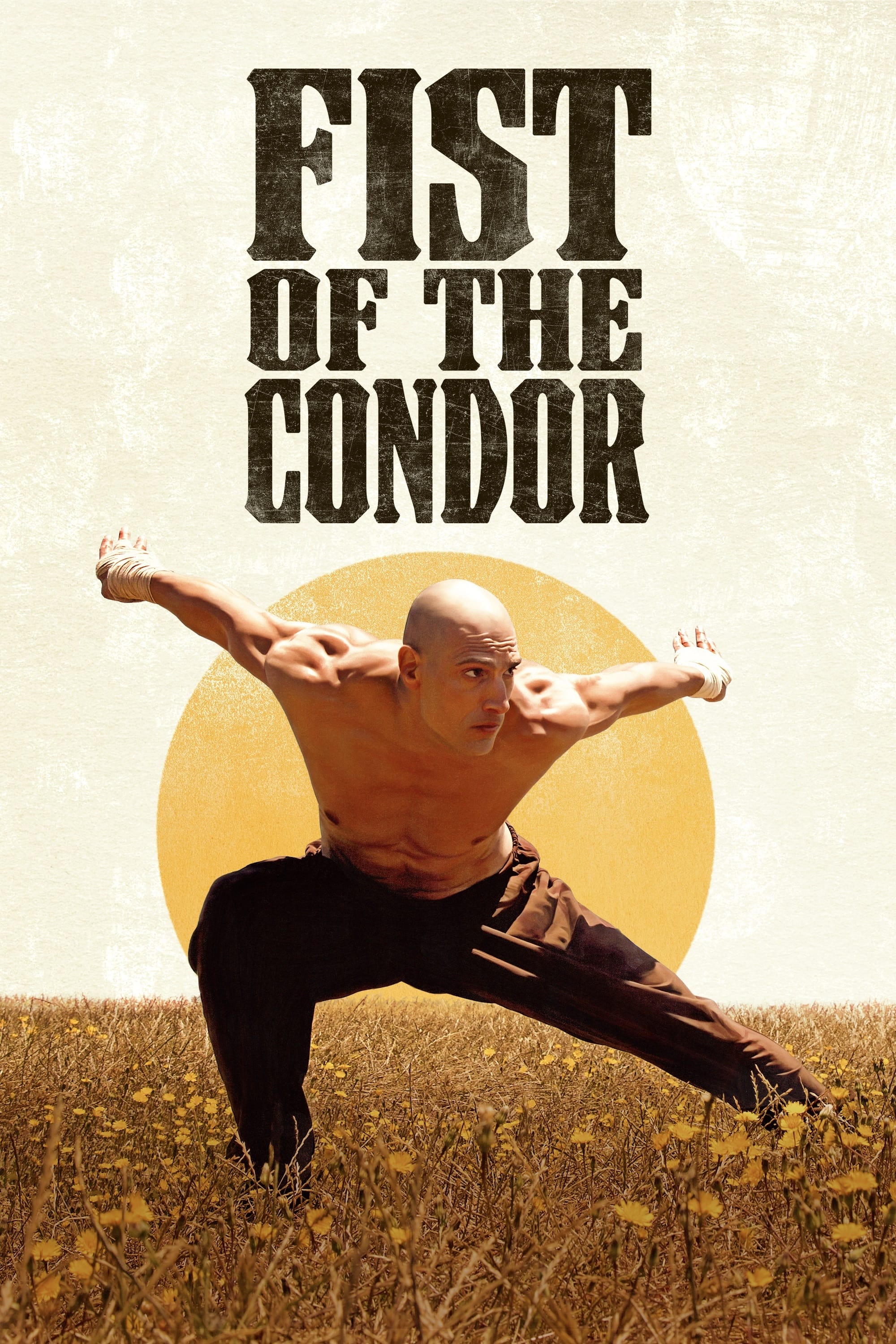 Fist of the Condor Hindi Dubbed Movie Poster (2023)