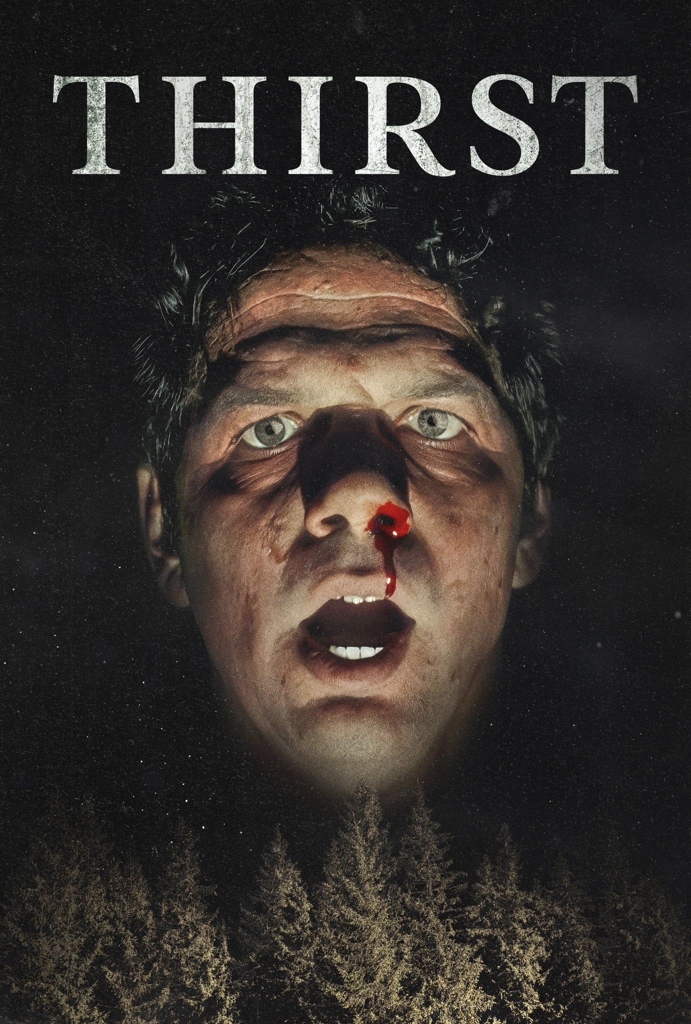 Thirst Hindi Dubbed Movie Poster (2023)