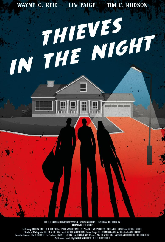 Thieves in the Night Hindi Dubbed Movie Poster (2024)