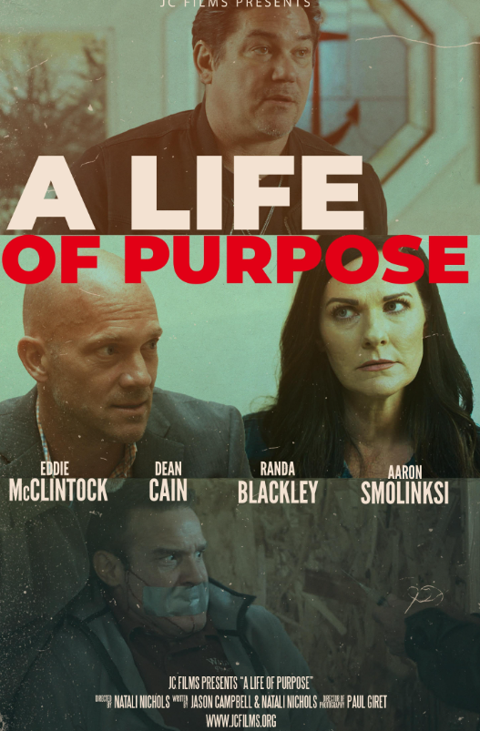 A Life of Purpose Hindi Dubbed Movie Poster (2025)