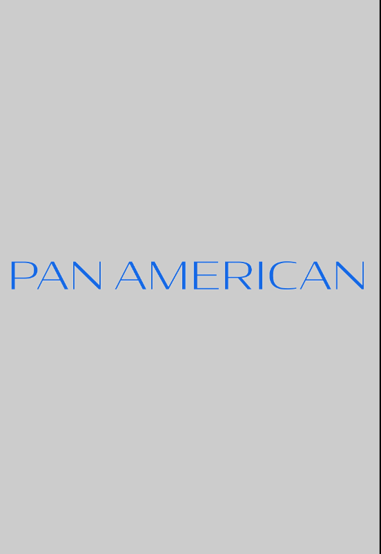 Pan American Hindi Dubbed Movie Poster (2025)