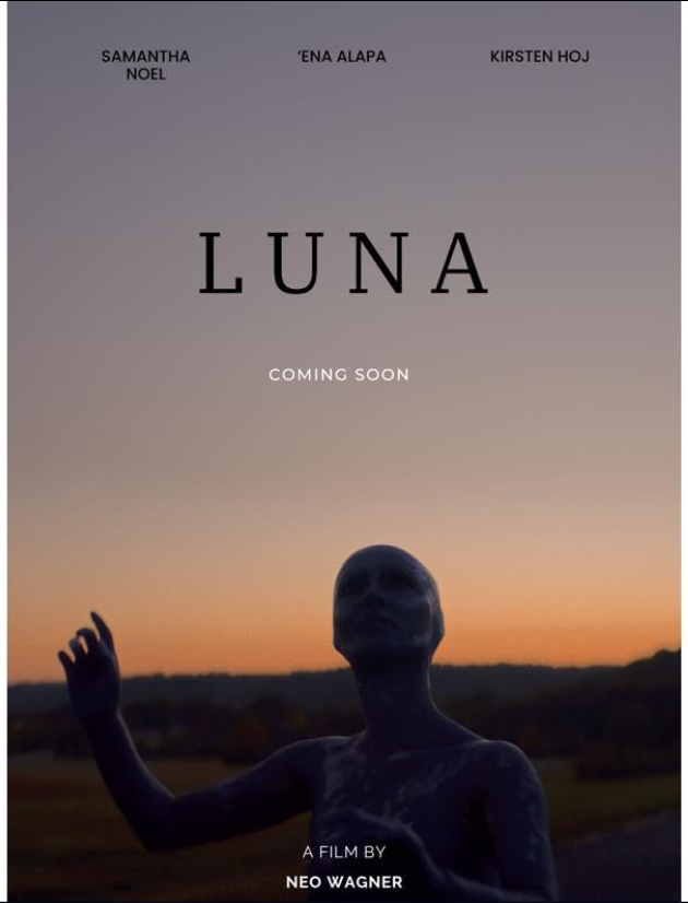 Luna Hindi Dubbed Movie Poster (2025)