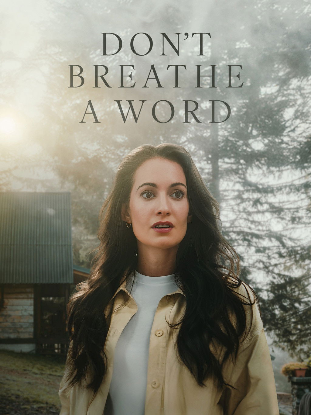 Don't Breathe a Word Hindi Dubbed Movie Poster (2026)